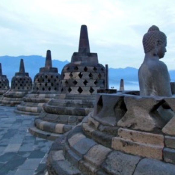 Meet your Posher, Leilani! - Picture 6 of 6